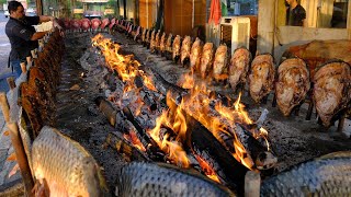 Amazing Iraqi Style Grilled Fish Around Charcoal and wood Fire  ErbilKurdistan Street Foods [upl. by Sivet]