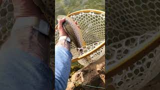 Fly Fishing ASMR 💆 fishing [upl. by Rehtaeh]