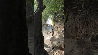 Agasthiyar Falls Papanasam trendingshorts travel sabarimala falls [upl. by Gaylene]