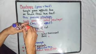 Pleiotropy Genetics  Class 12 Biology [upl. by Honan]