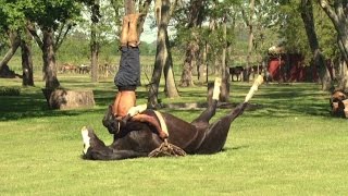 How to do Acro Yoga with a horse [upl. by Aldwon]