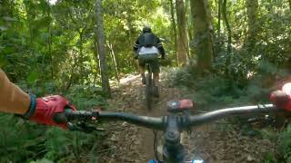 Bunya Mountains MTB trails  POV of all trails full loop [upl. by Livvyy192]