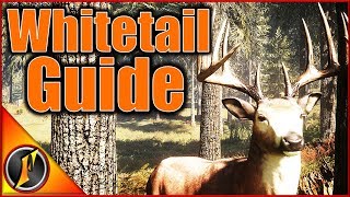 How to Find Whitetail in Call of the Wild [upl. by Perrins]