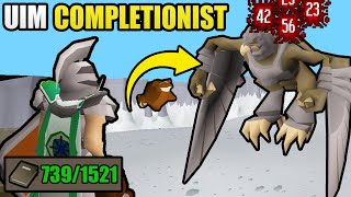 5 Years Later I Finally Completed This  UIM Collection Log Completionist 31 OSRS [upl. by Enak]