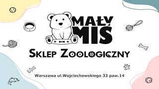 Mały Miś  Sklep Zoologiczny [upl. by Dasya]