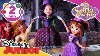 Sofia the First  Broomstick Dance  Disney Junior UK [upl. by Lipman]