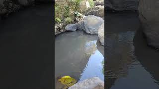 Mancing wader part 1 mancing microfishing mancingwader mancingsungai [upl. by Elsie767]