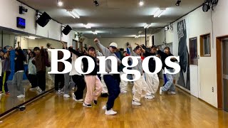 Bongos  Cardi BMeagan Thee Stallion  Choreography by WAON [upl. by Eniawed886]