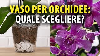 Vasi per Orchidee Quale Scegliere [upl. by Rennug]