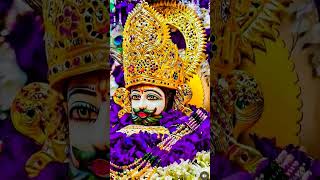 youtubeshorts ekadashi khatushyam [upl. by Humo]