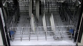 How to Remove Excess Suds From Dishwasher [upl. by Daryn]