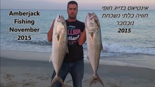 דיגליאור גכמן אינטיאס בדיג חוף 211115 Amberjack Fishing [upl. by Neiviv580]