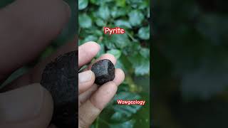 Pyrite shorts pyrite facts geology geologist youtubeshorts youtube wow crystals mineralogy [upl. by Nofpets]