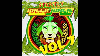 RAGGA JUNGLE IS MASSIVE VOL 7 MIXED BY DJ STP [upl. by Dempstor]