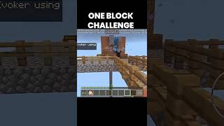 Minecraft one block challenge 😎 [upl. by Callahan]