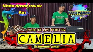 Camelia  Rhoma irama karaoke nada cowo Am versi koplo bangplak [upl. by Flemming870]