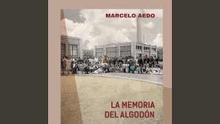 LA MEMORIA DEL ALGODON [upl. by Norihs]