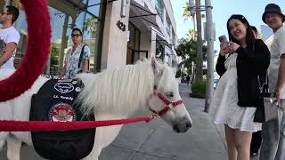 Lt Rowdy visiting Rodeo Drive 8 of 13 92124 [upl. by Mignon]