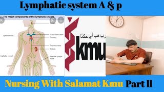 Lymphatic system Anatomy and physiology part ll for nursing amp medical Students in simple pashto [upl. by Krasner40]