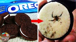 Los SECRETOS De Las GALLETAS OREO  ¿Extraño Descubrimiento En Caja De Galletas [upl. by Alleahcim361]