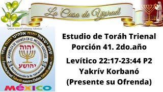 Porción 41 Año 2 de estudio de la Toráh Levítico 22172344 Trienal Parte 2 [upl. by Brag]