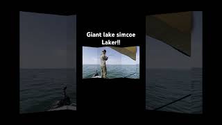 Huge lake simcoe laker caught just off big bay point lakesimcoe simcoe laker laketrout fishing [upl. by Adnolor]