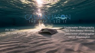 Underwater Photography Tips with Cayman JasonSunrise at Sandbar [upl. by Flight]