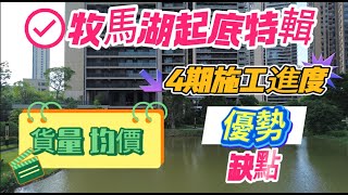 😱唔睇就走寶｜【防中伏指南】牧馬湖起底特輯第二集｜⚒️4期航拍施工進度｜貨量均價優缺點一次過講完｜84棟實景！ 大亞灣 萬達廣場 大亞灣樓盤 惠州房產 惠州生活 惠州退休 惠州樓市 [upl. by Denise]