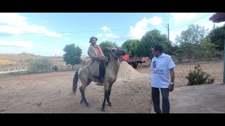 HOMEM SIMPLES DA ROÇA TINHA UM SONHO DE REFORMAR UM CARRO ANTIGO E CARA SECA AJUDOU [upl. by Stedt]