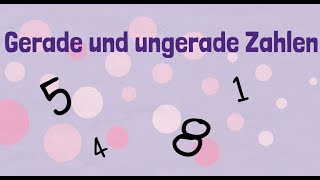 Einführung gerade und ungerade Zahlen Klasse 1 [upl. by Northrup]