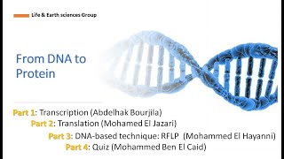 From DNA to Proteins  Transcription part [upl. by Cohbert]