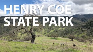 The grass is always greener after a rainy winter  Henry Coe State Park [upl. by Rotberg48]