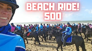 Friesian horses beach ride with 500 Friesian horses  Friesian Horses [upl. by Aksehcnarf]