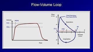 Pulmonary Function Tests PFT Lesson 2  Spirometry [upl. by Adlay]