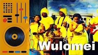 Wulomei Songs Mix  Ghana Music  Ga Songs Vol 10 [upl. by Leong246]