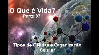 O Que é Vida 07  Tipos de Células e Organização Celular [upl. by Yntruoc]