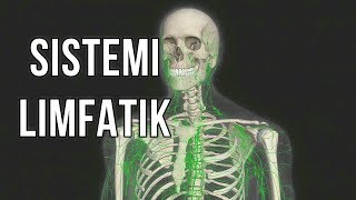 SISTEMI LIMFATIK [upl. by Aube]