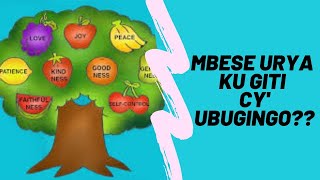 Mbese urya ku giti cyubugingo ukavuguta amababi yo kuri cyo cg wakirukanweho byiteka [upl. by Aimik]