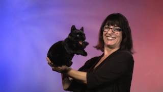 Folkmanis® Black Cat Puppet Demo [upl. by Candy]