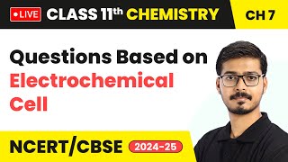 Questions Based on Electrochemical Cell  Redox Reactions  Class 11 Chemistry Chapter 7 live [upl. by Repmek310]