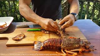 NZ crayfishrocklobster preparation [upl. by Dolf]