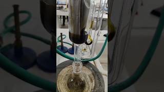 Extraction of caffeine from tea soxhlet apparatus youtubeshorts short pharmacy college [upl. by Pentheam]