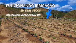 Funcionamento da IRRIGAÇÃO do CAFE em dias secos [upl. by Servetnick554]