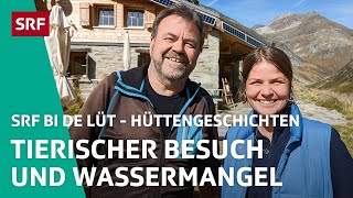 Tierischer Besuch und Wassermangel  Hüttengeschichten 2022 35 – SRF bi de Lüt  SRF [upl. by Suiratnod272]