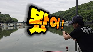 Powerful crucian carp fishing 향붕어낚시 지곡지 [upl. by Carson]