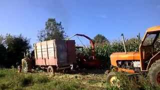 ensilage a lancienne a ouville [upl. by Charpentier230]