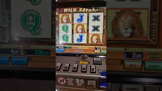 Wild Safari Slots Jackpot 🏆 [upl. by Orose]