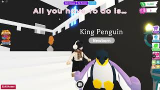 King Penguin Giveaway 💕 [upl. by Neona]