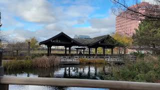 Visiting a Japanese Garden in Early Winter [upl. by Erna]