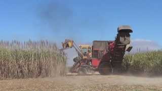 Sugar Cane Harvester in Australia [upl. by Peltier]